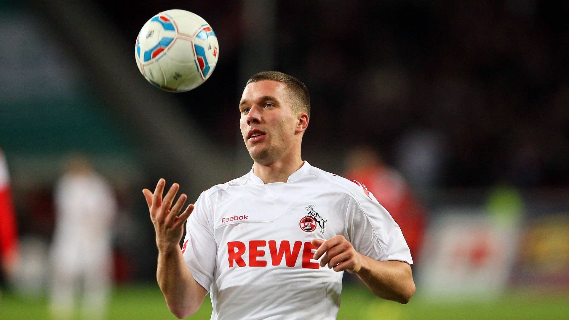 “球场内外：球员的动人故事和激情人生”，关于球员